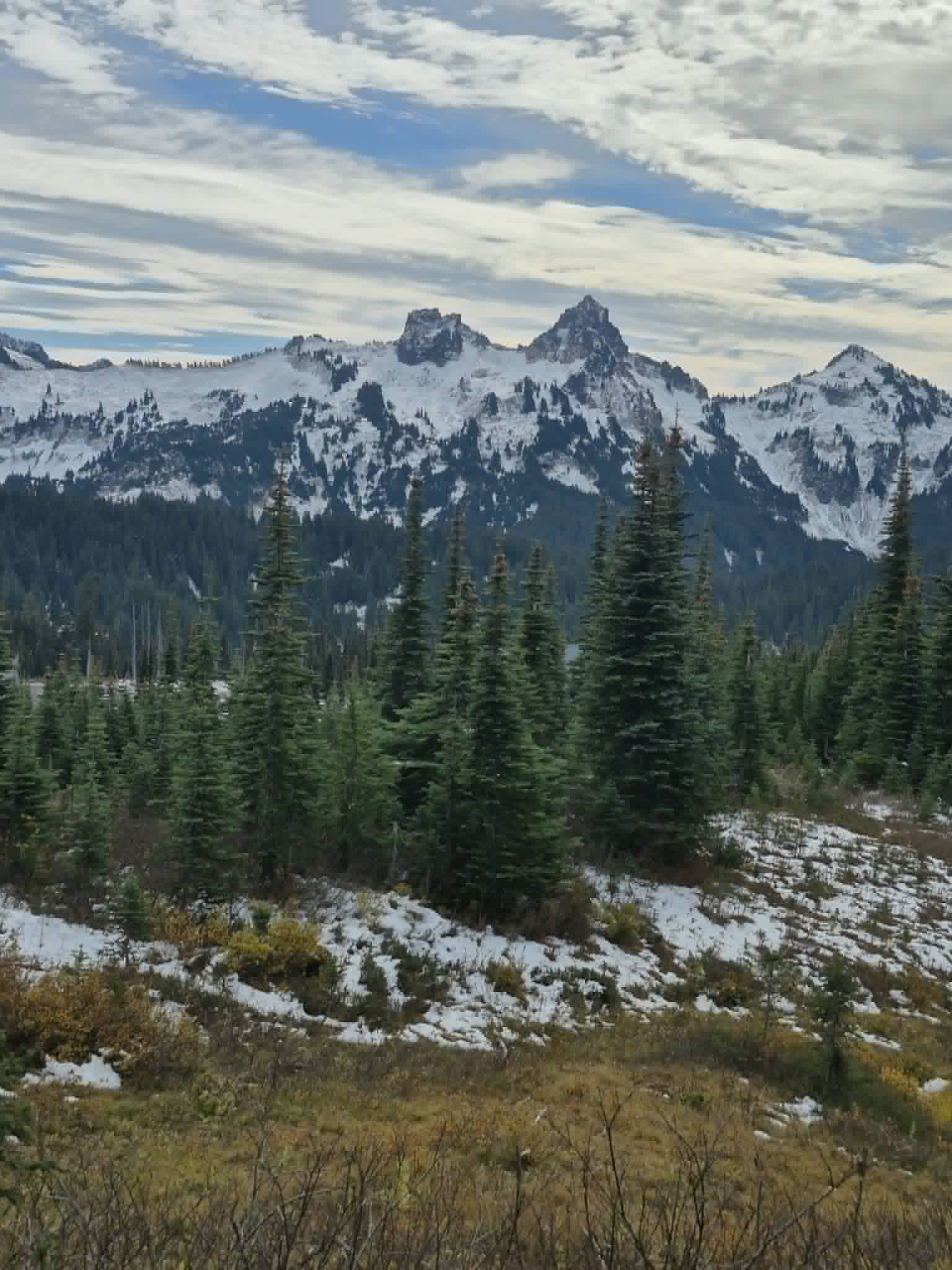 Snow-dusted peaks above evergreens along the Glacier Vista Trail on Mount Rainier